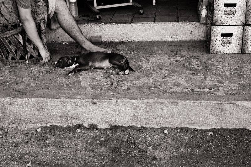 Barra de Navidad, 2008