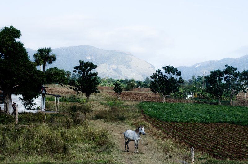 On the road in Cuba, 2010