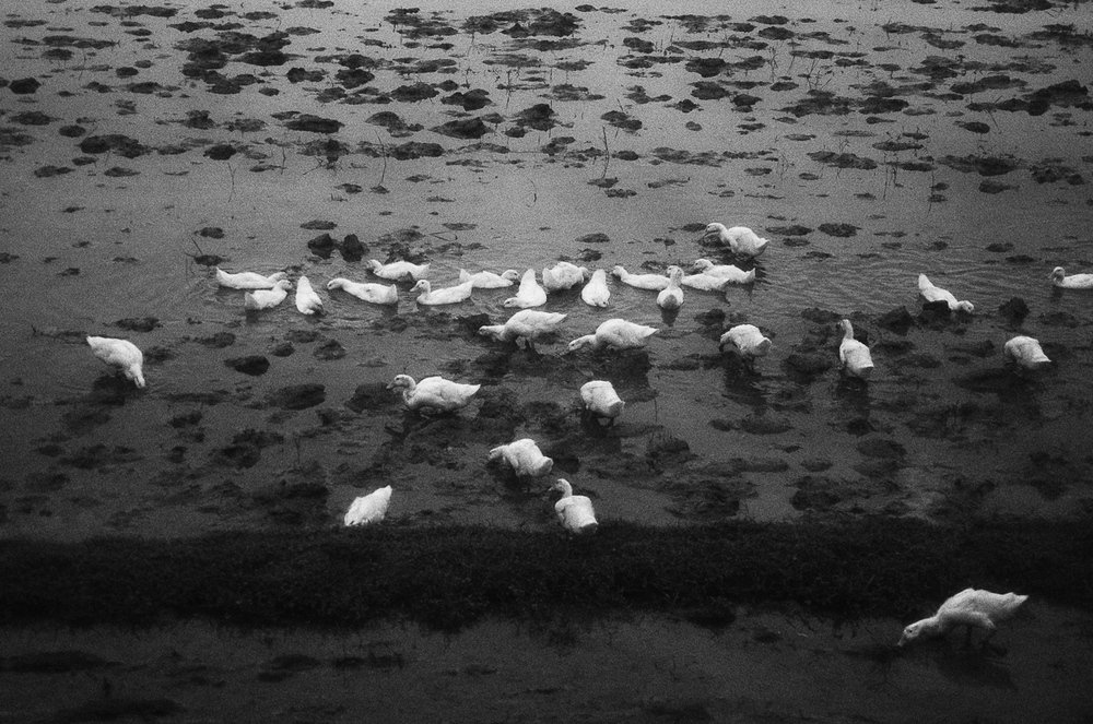 On the train in Vietnam, 2011