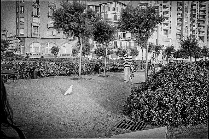 Biarritz, 2003