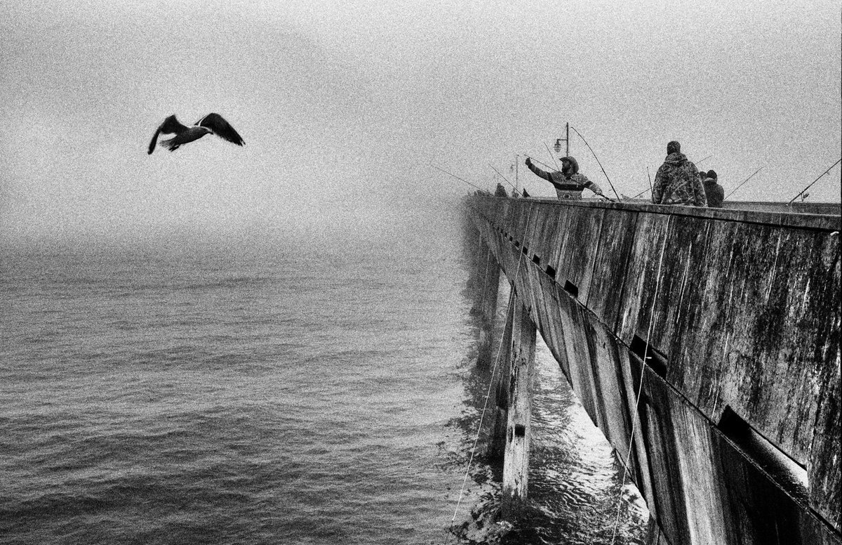 Pacifica, 2019, 2025