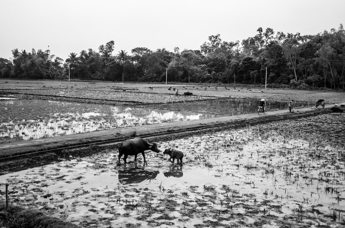 From the train in Vietnam, 2011, 2025