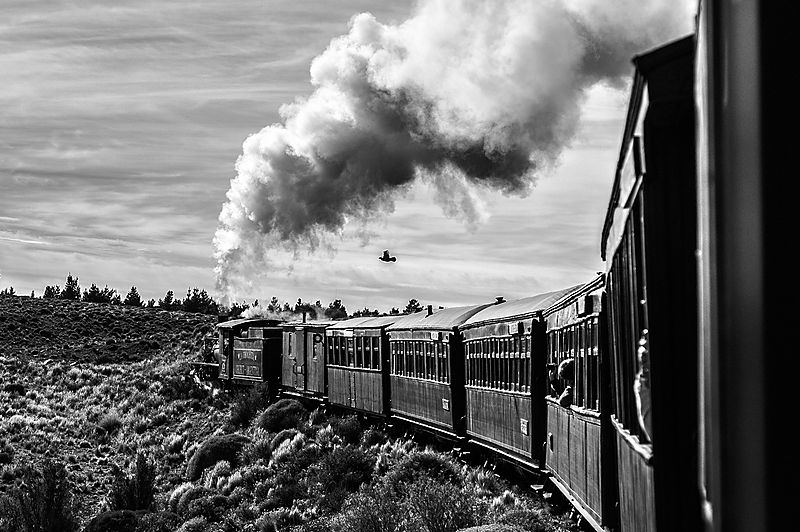On the train in Patagonia, 2014