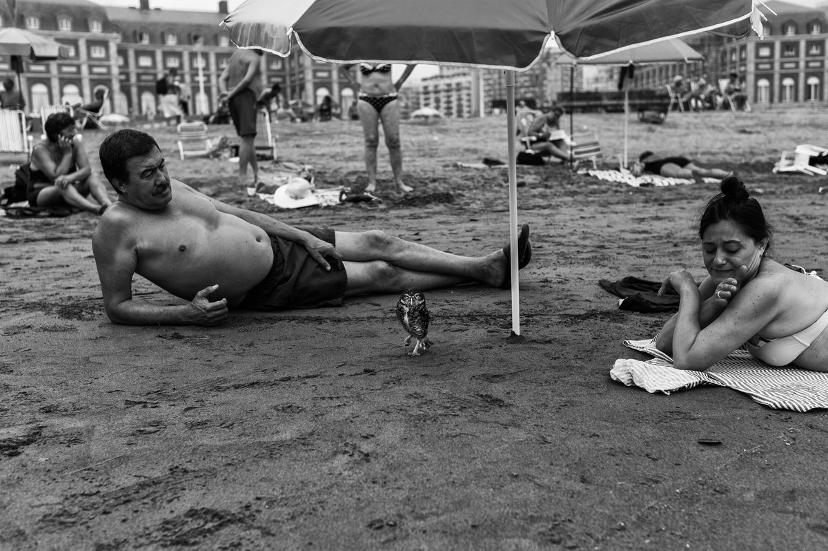 Mar del Plata, 2014, 2025